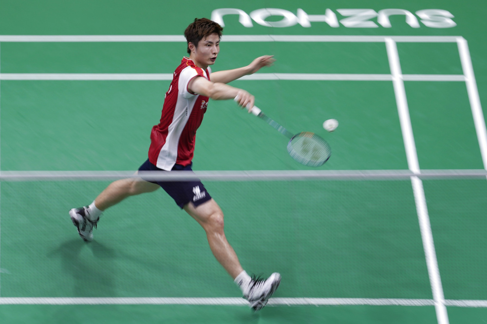 灰熊的年轻 灰熊的年轻